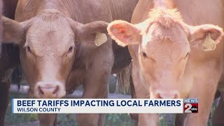 Beef tariffs impacting local farmers