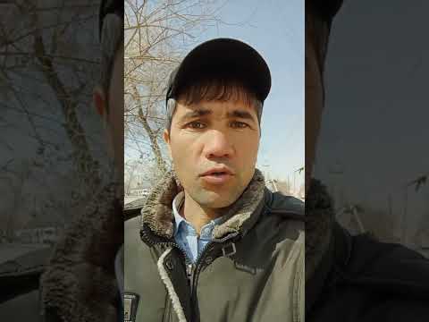 Ангус парода моллар
