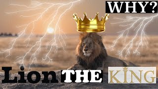 WHY LION IS THE KING OF THE JUNGLE ||BEST LESSON OF LIFE|| ATTITUDE LESSON OF LIFE
