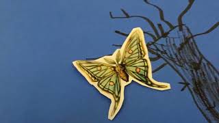 Stop Motion Animation Collection By Reel Works In Schools