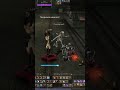 Fortune Seeker vs Necromancer  #l2 #bohpts #lineage2 #games
