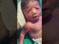 Newborn Baby First Moments 👶✨ | Super Cute Baby Video#newbornbaby #princeboy #newborn #babayphoto