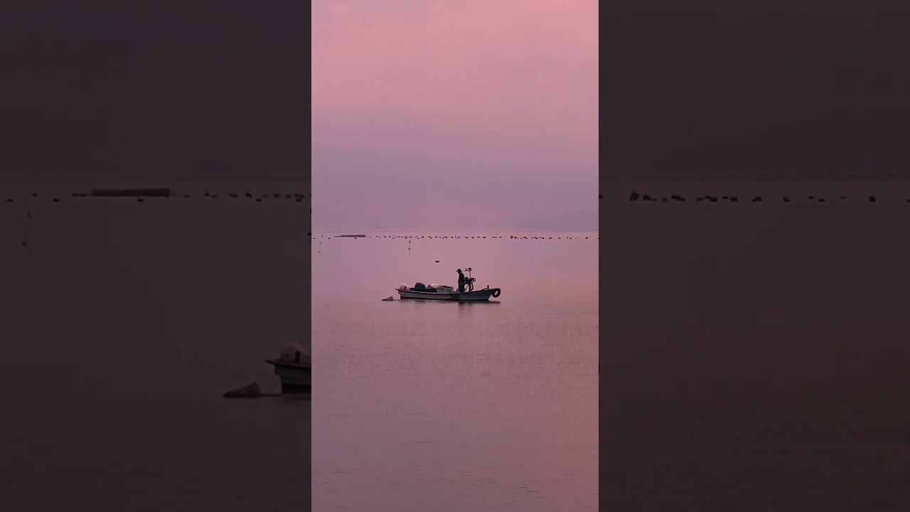바다멍 남해 초전몽돌해변 새벽조업