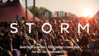 Dimitri Vegas & Like Mike, Timmy Trumpet & Edward Maya - Feel Your Love (Tomorrowland Mix)