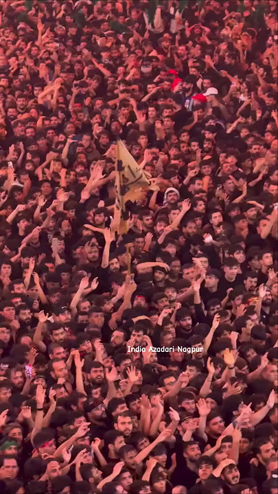 Arbaeen Imam Hussain 2025 | 25 Milon Zaireen Imam Hussain Karbala | Short | Karbala Iraq