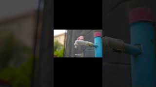 Sony Alpha 6600 with Viltrox 25mm f1.7 Air Lens | #sony #a6600 #a6700 #videotest #ibis #handheld