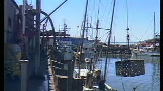Landmarks of the City: Fishermans Wharf