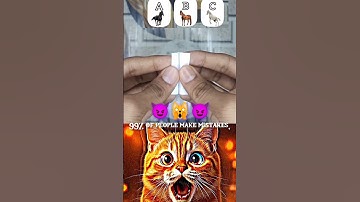 what you see 🙈 #cat #shortsviral #puzzle #puzzlegame #riddles #duet #sorts #sort #viral