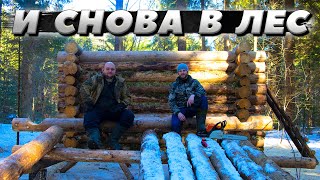 Весна пришла в лес | ЛЕСНОЙ ДОМ | ИЗБА | FOREST HOUSE | DUGOUT | HUT