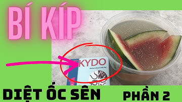 Cách diệt ốc sên|Quân Vi Aquaponics| Phần 2