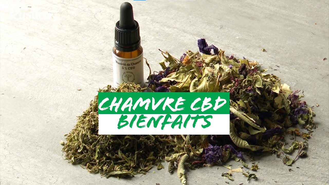 Les bienfaits du chanvre CBD