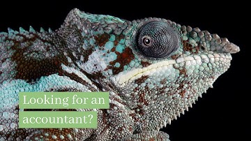 Look No Further Video Template (Editable)