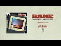 Bane "Sunflowers And Sunsets"
