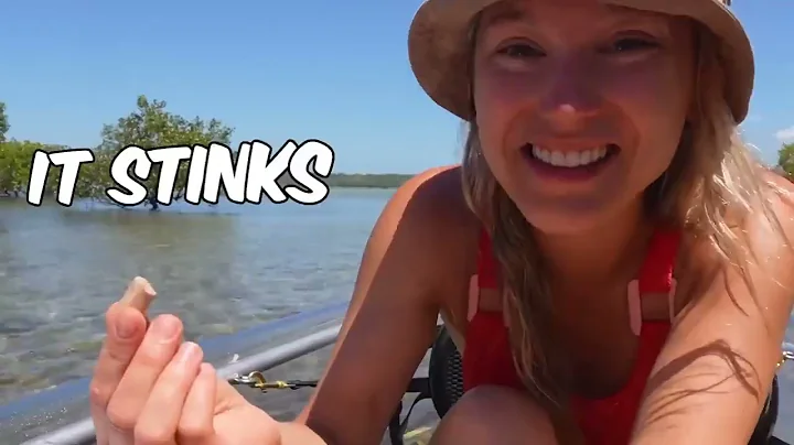 Aquarium Info! I Survived 24 Hours in a Transparent Kayak