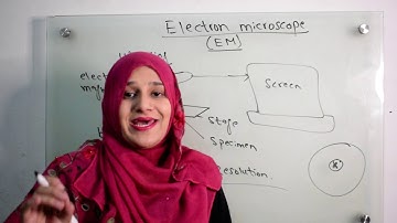 Class 9||Chp #4||Electron microscope & its types(TEM &SEM)