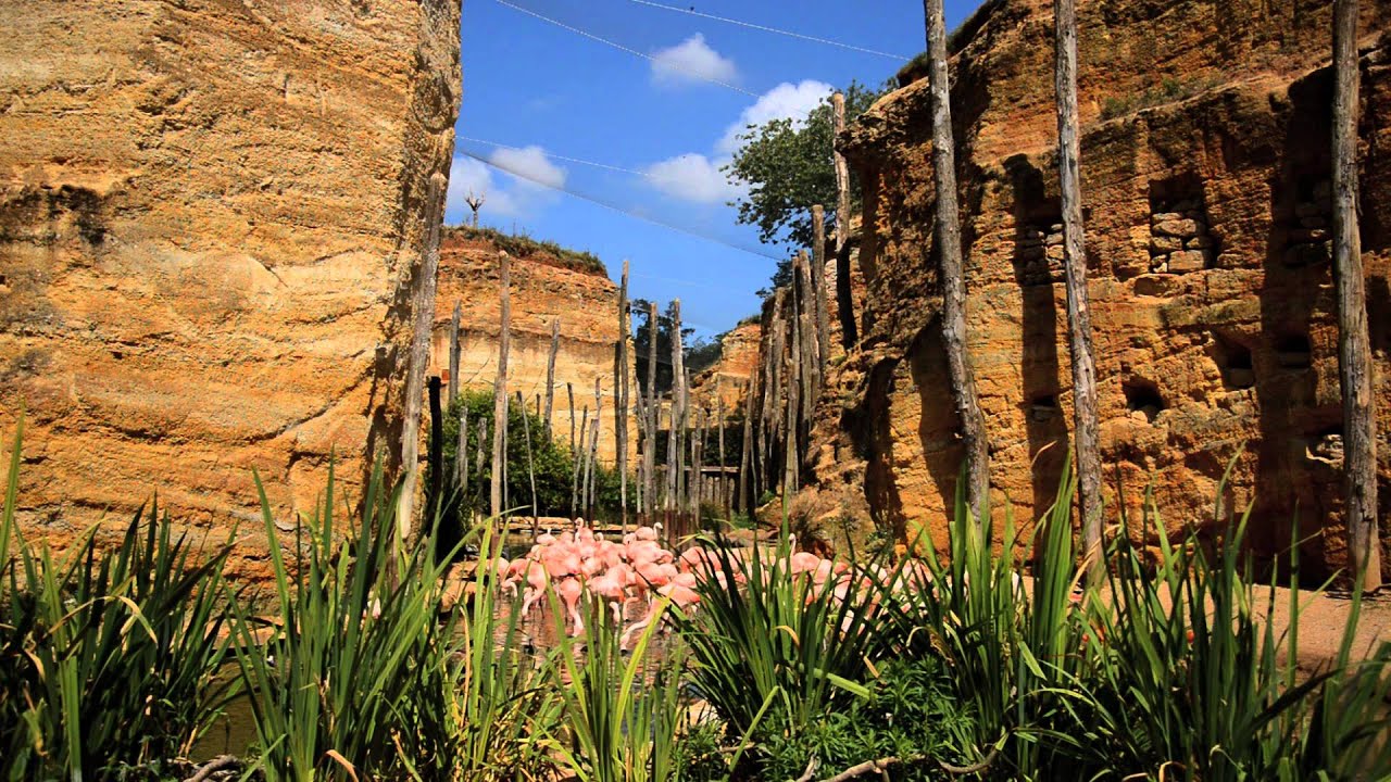 Promo Zoo Bioparc Doué : billets moins chers 2025