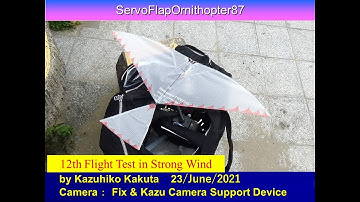 サーボ駆動羽ばたき機ServoFlapOrnithopter87 12th Flight Test at Seaside in Strong Wind  over 3 meter/second