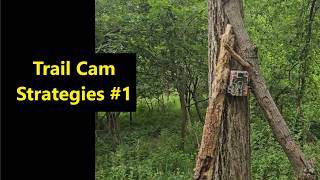 Trail Cam Strategies #1