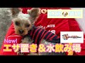 【ドギーマン】購入品紹介！犬猫用 えさ置き＆水飲み場
