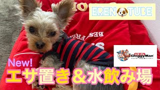【ドギーマン】購入品紹介！犬猫用 えさ置き＆水飲み場