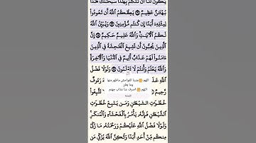 #قرآن #سورة #تلاوات #سورة_النور #الآية 19