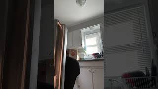 I’m too sexy I’m too sexy