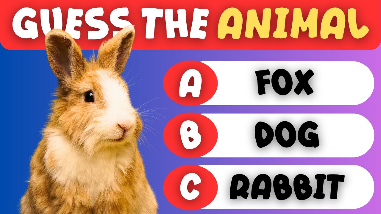 Guess the Animal Name! 🐰 Fun Vocabulary Quiz for Kids (ESL)
