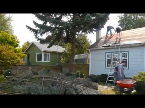 Rednecks Take Down a Tree!