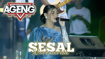 SESAL | NOVI NOVITA - AGENG MUSIC LIVE ANCOL 2025