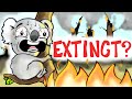 How Do Wildfires Affect Animals?