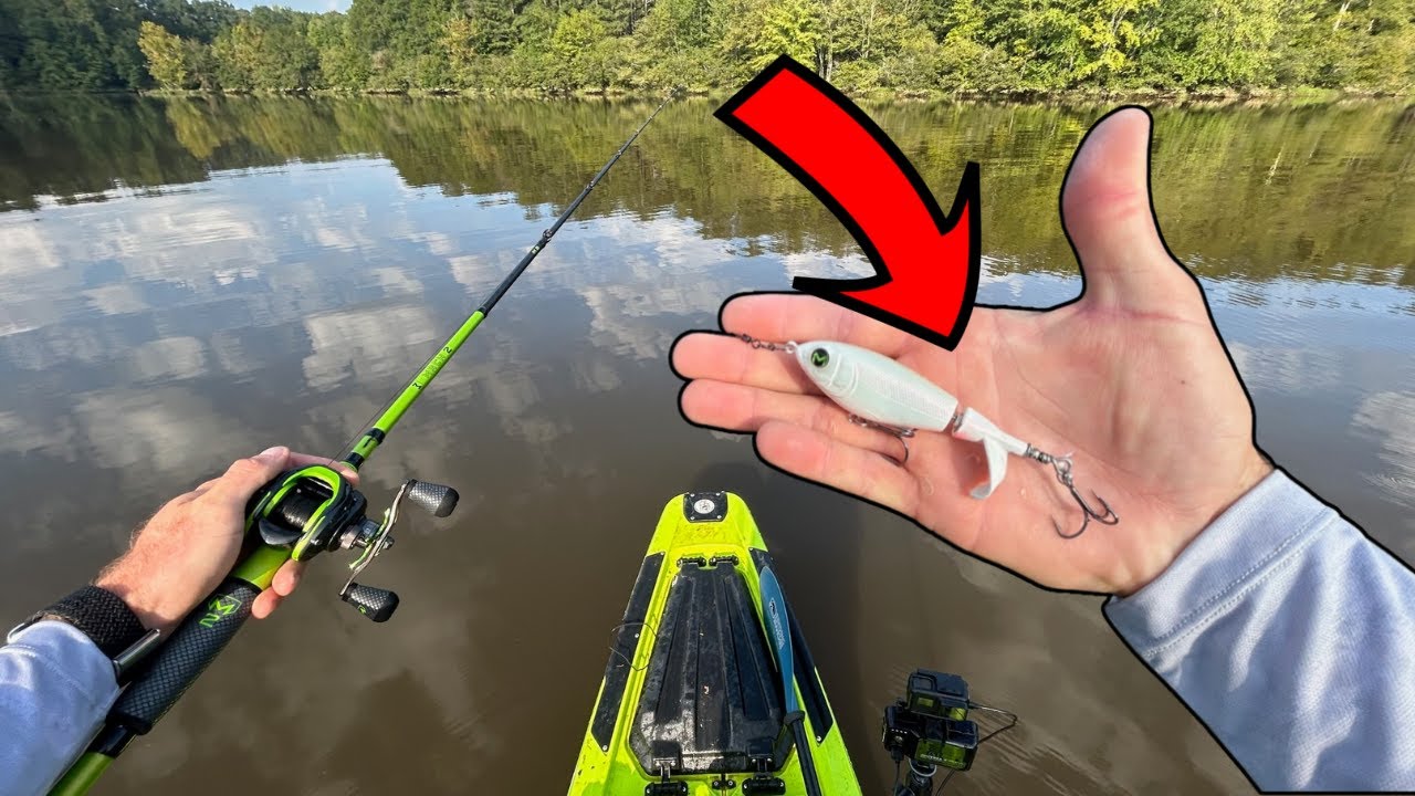 Throw THIS Bait For GIANT Fall Bass