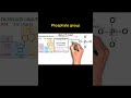 Phosphate group | EasyMedEdHub #shorts #cellreference #cellbiology #biology #neet #science