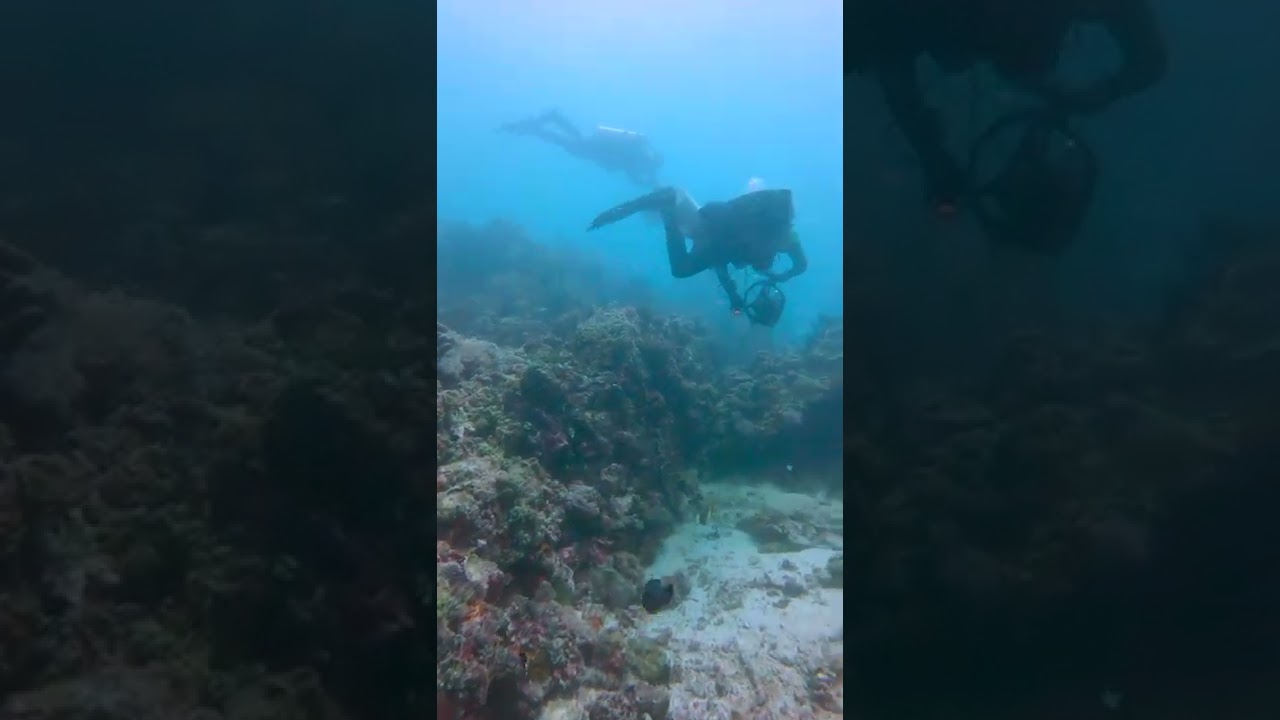 DPV Group Dive