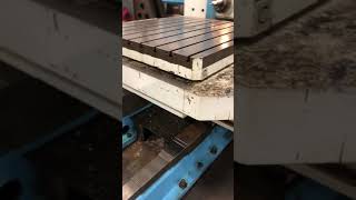 IMG 0862