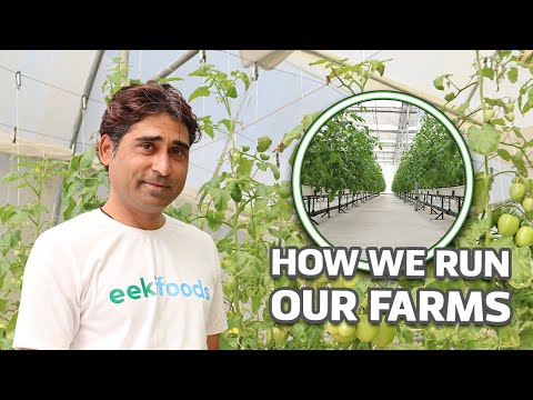 Boost Your AgriTech Operations!⚡Expert Tips from a Seasoned Pro. - video from Eeki