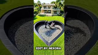 #Nexora #Betrayal #RevengeStory #Drama #CaughtRedHanded #Karma #Storytime #USAtrending