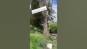 How small can a Cache be? (#Shorts) (#GCNW)