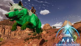 Taming a Colossal Dire Wolf!: Ark Ascended Scorched Earth Ep [12]