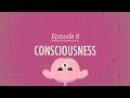 Consciousness crash course psychology 8