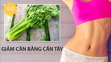 7 CÁCH GIẢM CÂN BẰNG CẦN TÂY, HIỆU QUẢ KHÔNG TƯỞNG !