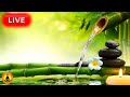 🔴 Relaxing Music 24/7, Stress Relief Music, Sleep Music, Meditation Music, Study, Calming Music