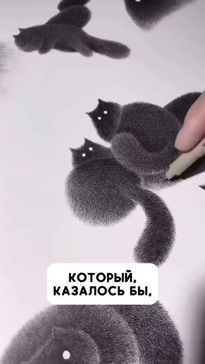 Милые котики малайзиского художника! - YouTube