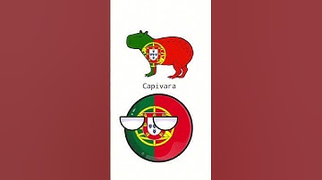 Capybara in different languages  #countryballs #Az_ball1 #capybara