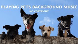 [No Copyright] Playing Pets Background Music (Cute, Pets, Vlog, Naughty,  Positive, Chill)