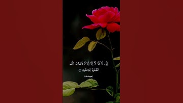 سورة طه آيه ١٤ القارئ محمد ايوب#القرآن_الكريم #العراق #اكسبلور #لايك #الجزائر #راحة_نفسية #المغرب