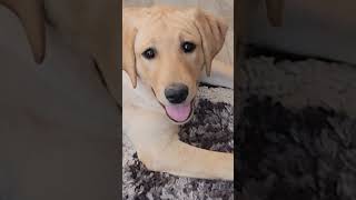 I Dont Want The World, I Just Want Your Half.