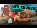 Vlogmas 2015 / NEW HAMSTER?!