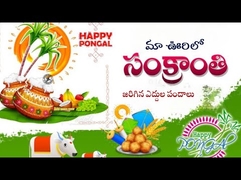 మా ఊరి సంక్రాతి సంబరాలు 🪴🪴