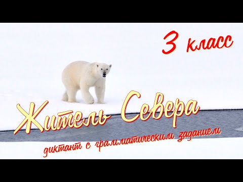 Диктант по русскому языку. 3 класс. С грамматическим заданием! Житель Севера #диктант3класс #диктант