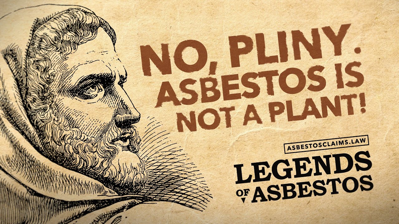 Нет, Плиний Старший... Асбест — это не растение! — Легенды об асбесте